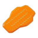 Protector Espalda Icon D3O® Viper 1