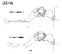 LCX710B Rizoma Manigueta freno rizoma ajustable plus (2).webp