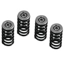 Kit resortes Clutch Barnett Ducati