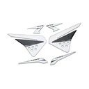 Protector Tanque Kit Grafico Kawasaki Z1000