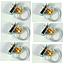 [236-302] Tornillos Screw Type D-Ring Kit