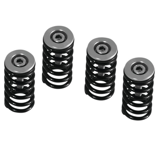 [519-25-06099] Kit resortes Clutch Barnett Ducati