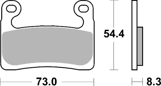 [994CM55] Pastillas Freno Sinterizadas BMW S1000RR 19 / R1250 19 / S1000R 20